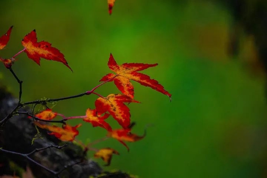 　　郝立艺 摄