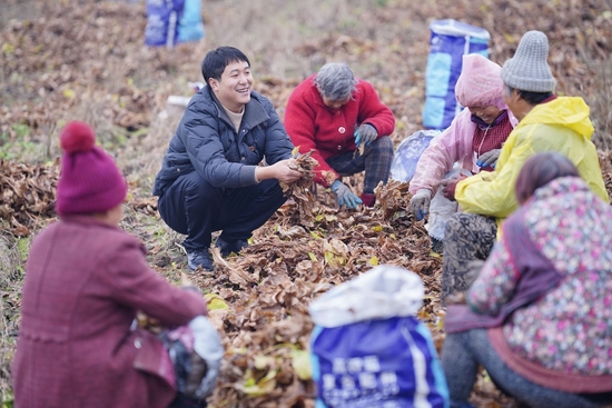 眉山市彭山区谢家街道义和场社区党委书记谢仕威（左二）正在向居民了解中药材收获和销售情况。（受访者供图）