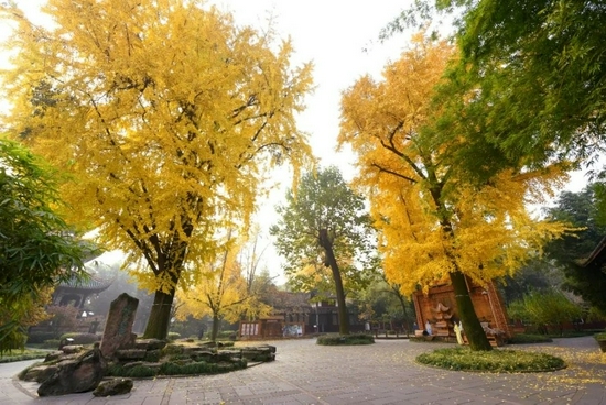 望江樓公園