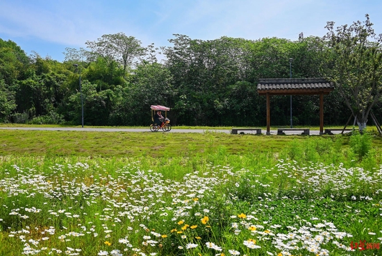 　∆市民在成都绕城绿道青龙湖湿地公园段骑行（王效 摄）