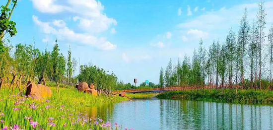 新津区红石涵养湿地 新津区供图