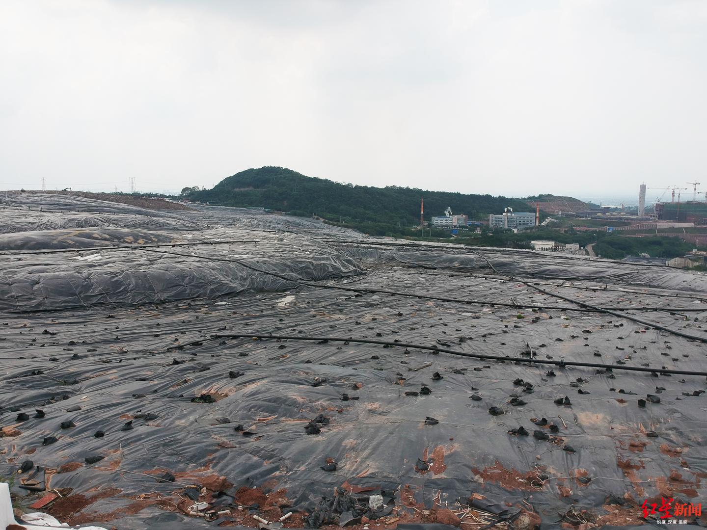 龙泉驿区长安垃圾填埋场现场
