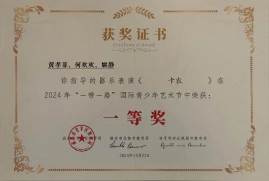 器乐类一等奖作品《卡农》获奖证书