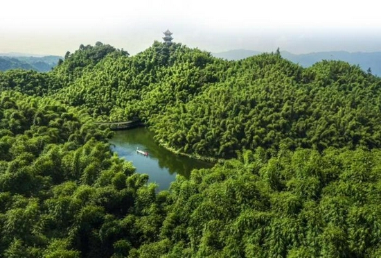 沐川竹海（乐山市林业和园林局供图）