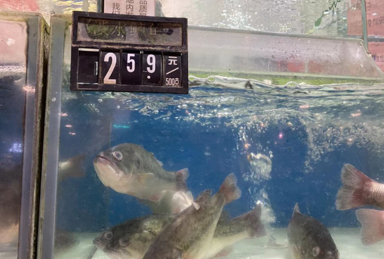 　鲈鱼价格为每斤25.9元。