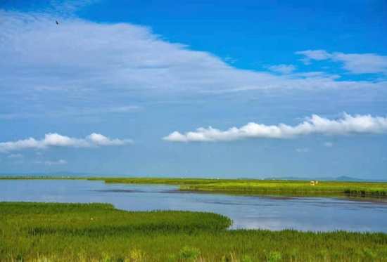 若尔盖湿地一景。（省林草局供图）