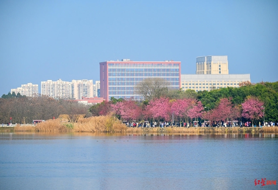 ▲青龙湖湿地公园 王效 摄