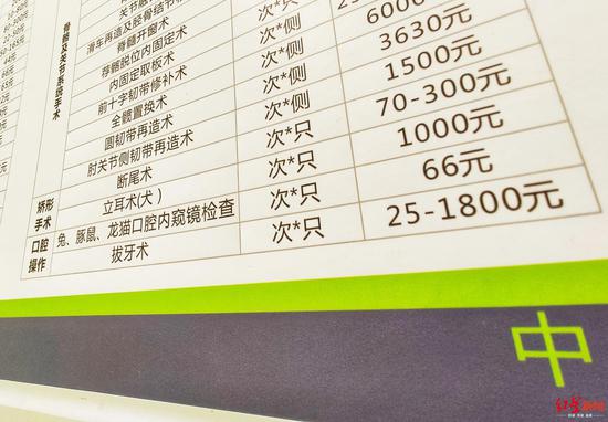↑宠物医院拔牙术的价格
