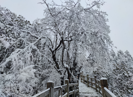 西岭雪山