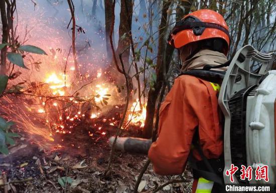 　救援人员正在扑灭林下明火点。　吉狄 摄