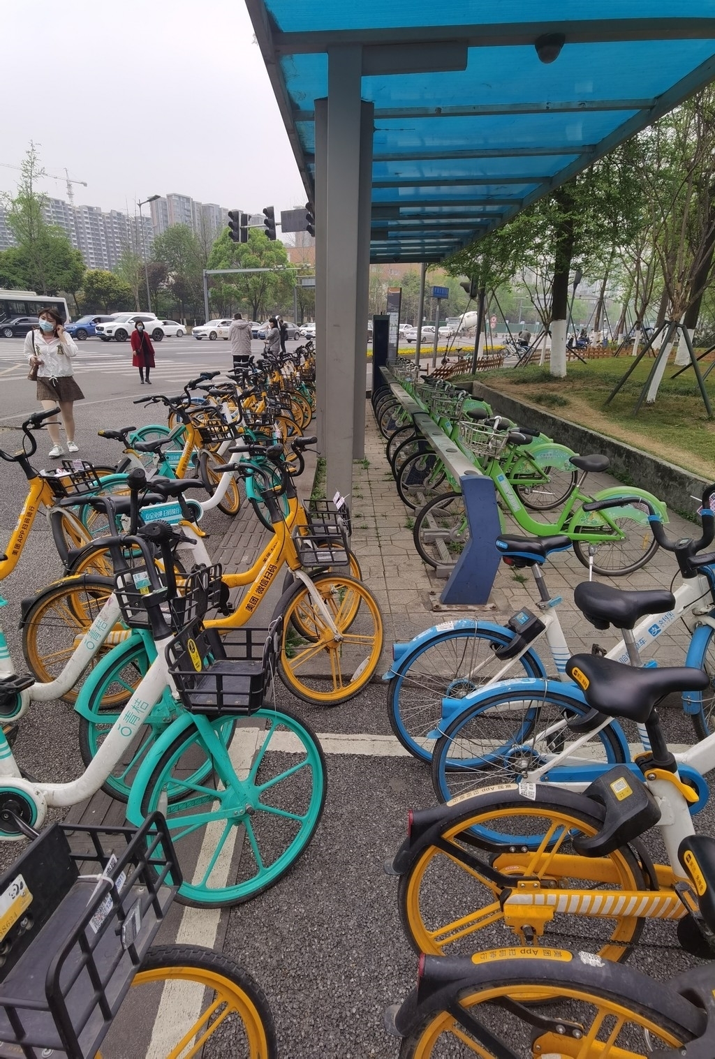 成都府城大道旁的公共自行车站点已被各类扫码单车包围