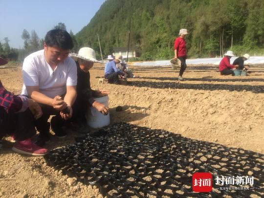 冉宏伟 封面新闻记者 谢颖 摄影报道