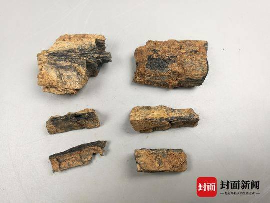 蒲江铁溪村冶铁遗址使用的燃料——木炭。