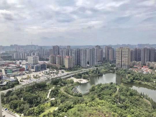 欣欣向荣的自贡
