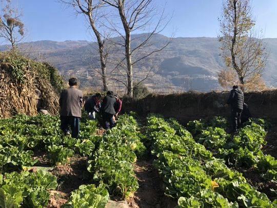 销路:希望能与单位、部门合作
