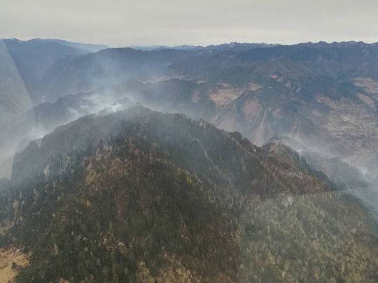 甘孜九龙森林火灾基本得到控制 32人撤离无人员伤亡