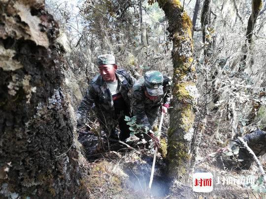 扑灭木里森林大火最后的烟点 扑火民兵下山了