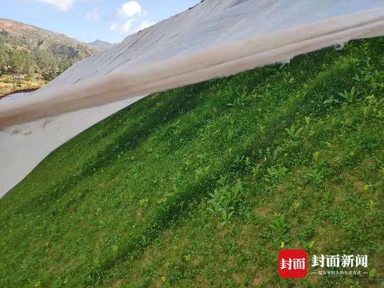 图二:骄子山2号斜井含盐弃碴场