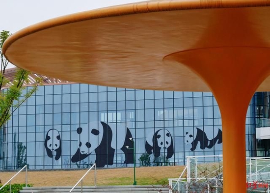 ▲成都大熊猫繁育研究基地