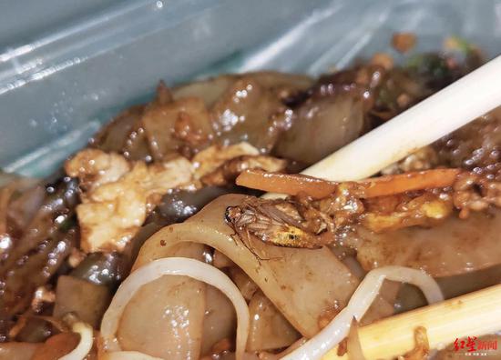 炒河粉吃出蟑螂