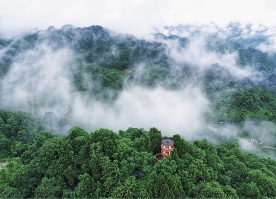 大竹五峰山森林公园