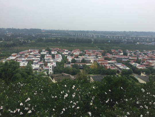 房县中堰村多少人口_房县红塔乡桂坪村(3)
