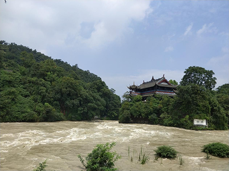 折耳兔/摄