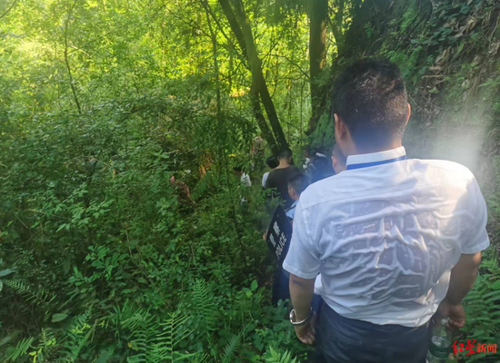 ↑此前,樂至當地組織搜捕黑熊