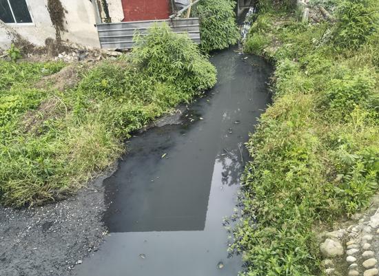 新都区柏水河中河水体发黑浑浊