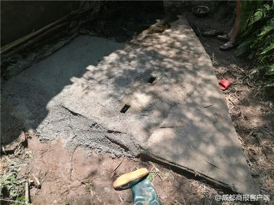 已经做了排危处理的沼气池,被水泥封严了