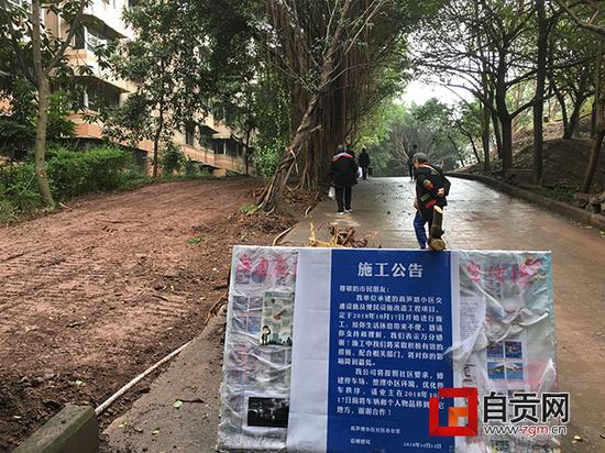 现场:林下空地平整 为小区增加规范停车位