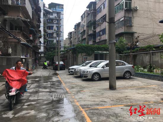 下雨打不湿