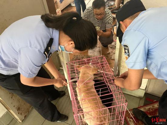 民警给黄婆婆家中的狗“搬家”