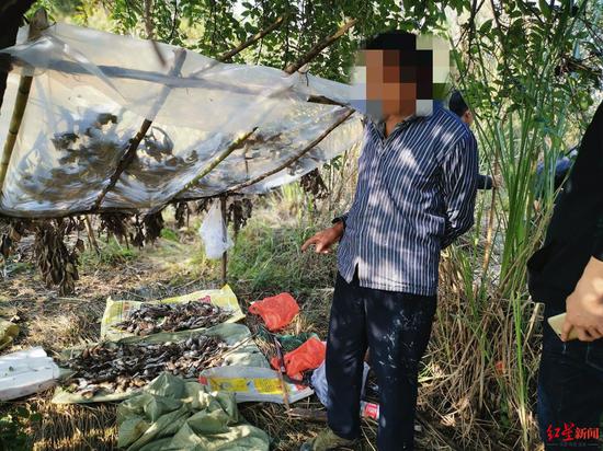 嫌疑人捕鳥8萬多只被警方抓獲