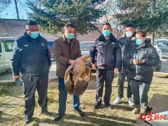 阿壩縣警民聯(lián)手救助國(guó)家草原雕