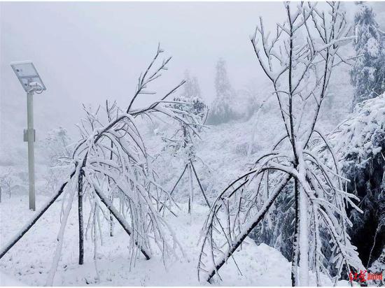 瀘州古藺雪景 張華攝