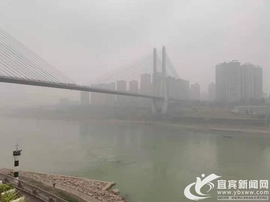 大雾下的长江大桥。宜宾新闻网 杨万洪 摄