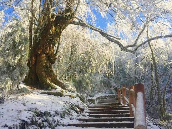 九峰山雪景。来源：彭州市人民政府网