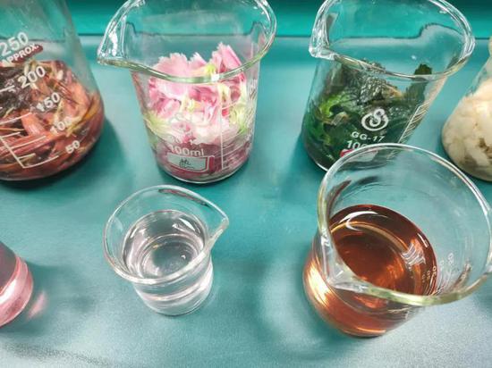酒精浸泡鲜花