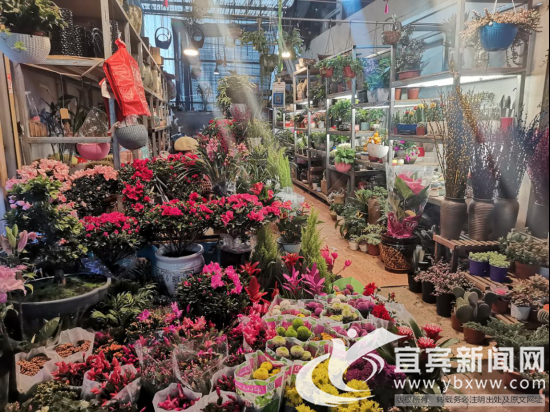 花卉市场各种鲜花应有尽有。(记者 何东 摄)