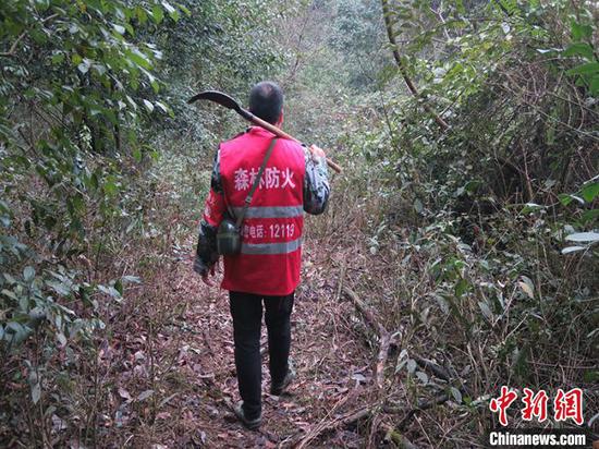 游小軍巡山護林返程。 賀樊麗 攝