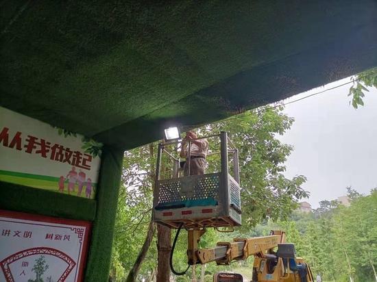 該通道的燈光設備已于5月7日當天安裝完畢 樂至宣傳部門供圖