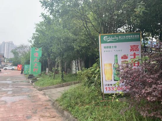 港尚港附近的广告牌设在了绿化带中