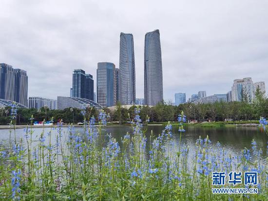 圖為成都高新區金融城。 新華社記者 李倩薇 攝