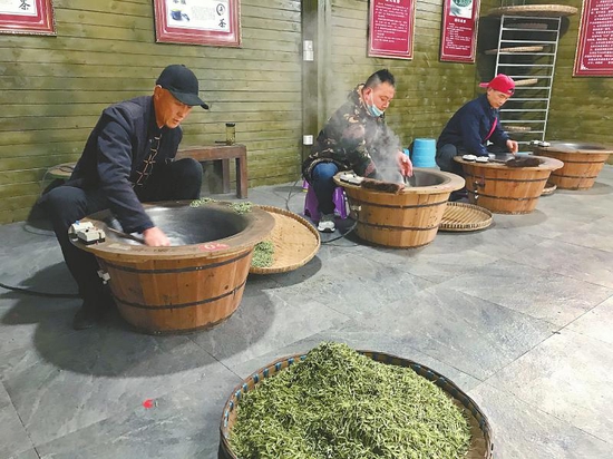 蒲江县成佳镇，茶工正在制茶。记者 陈昊 摄