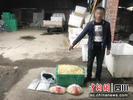 犯罪嫌疑人指认作假物品。