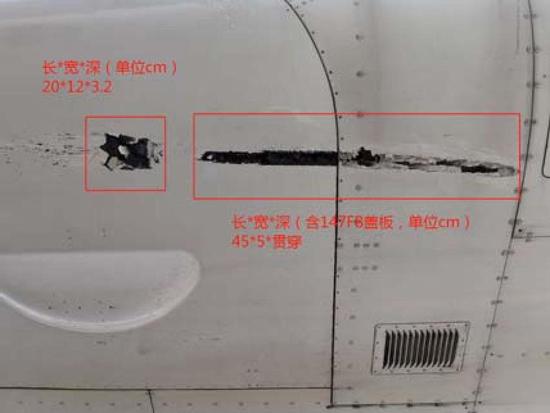 機身多部位受傷(圖片來自報告)