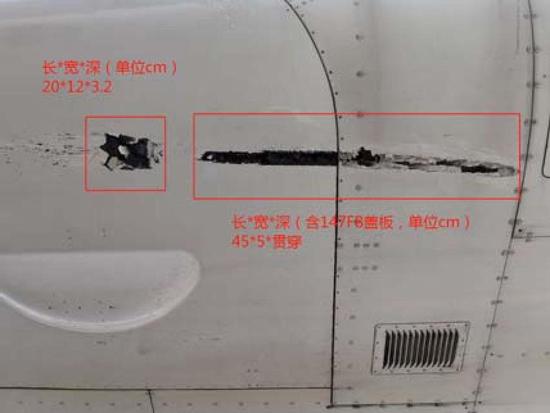 机身多部位受伤（图片来自报告）