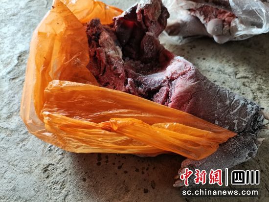 民警从范某某家里搜出的疑似野生动物肉块。