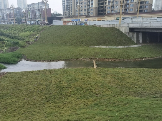 岷江大橋引道跨河中橋下方自然河溝整改后,又回到了最初的美麗狀態